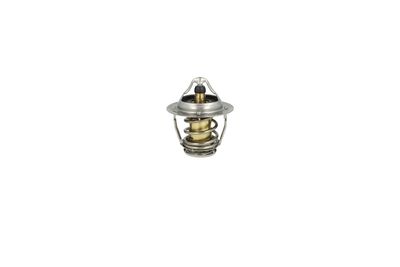 TERMOSTAT LICHID RACIRE NRF 725193 27