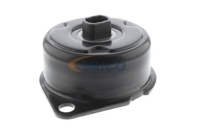 INTINZATOR CUREA CUREA DISTRIBUTIE VAICO V103415 50