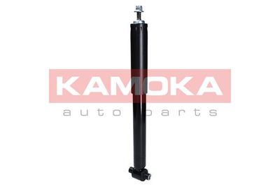 Shock Absorber 2000997