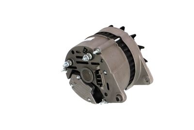 GENERATOR / ALTERNATOR REMANTE 011003000232R 33
