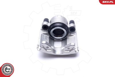 Brake Caliper 55SKV821