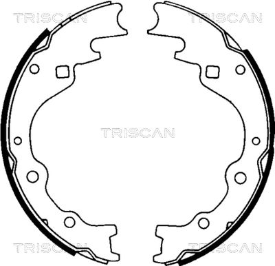 TRISCAN 8100 50461 Ремкомплект барабанных колодок  для KIA PREGIO (Киа Прегио)