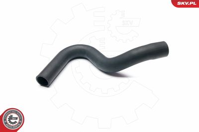 FURTUN EAR SUPRAALIMENTARE