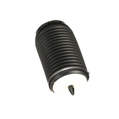 ARC PNEUMATIC DIRECTIE Arnott A3294 57