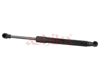 ZSA02074