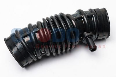 Ansaugschlauch, Luftfilter