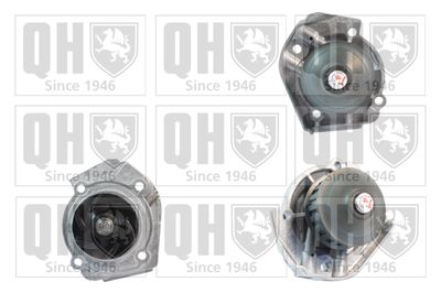 Водяной насос, охлаждение двигателя QUINTON HAZELL QCP3370 для YUGO FLORIDA