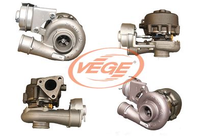 LADER AUFLADUNG VEGE 01811974 4