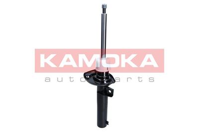 Shock Absorber 2000484