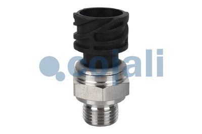 Vorschau Sensor