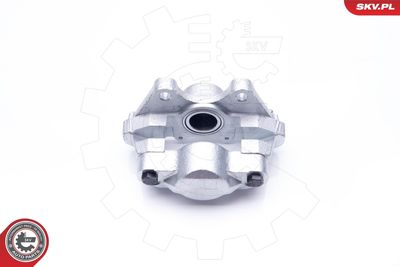 Brake Caliper 34SKV903