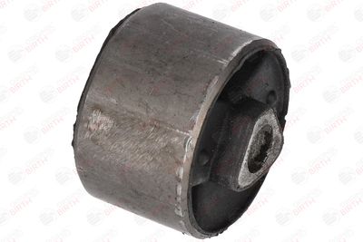 SUPORT TRAPEZ BIRTH 2134 11