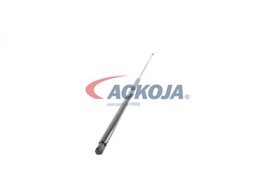 AMORTIZOR PORTBAGAJ ACKOJA A520065 52