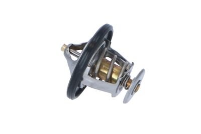 TERMOSTAT LICHID RACIRE NRF 725087 19