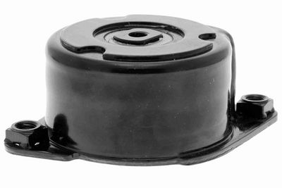 INTINZATOR CUREA CUREA DISTRIBUTIE