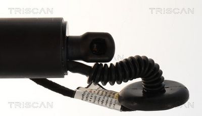 Plynárenská vzpera (pneumatická pružina), zavazadlový priestor TRISCAN 8710 23323