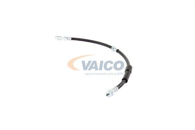 FURTUN FRANA VAICO V104138 15