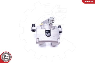 Brake Caliper 42SKV544