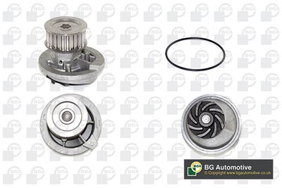 POMPă DE APă RăCIRE MOTOR