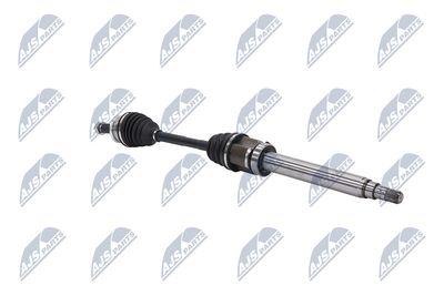 PLANETARA NTY NPWBM131 29