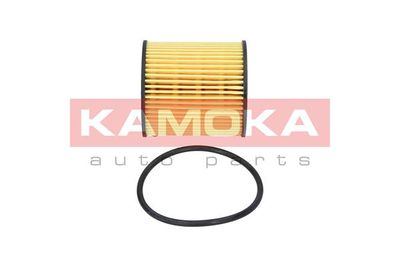 Oil Filter F103401