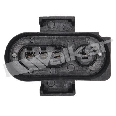 LAMBDASONDE WALKER PRODUCTS 25024430 2