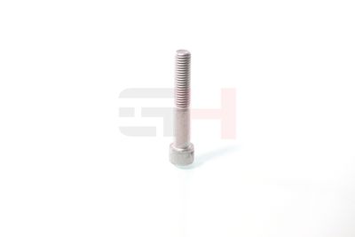 SURUB CAPAT DE AX GH GH391070 33