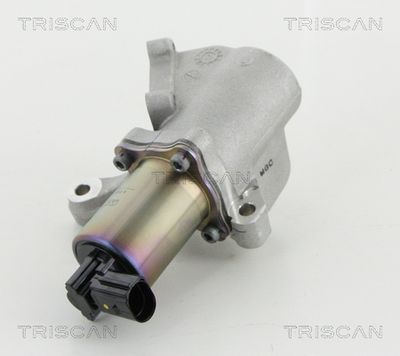 Клапан возврата ОГ TRISCAN 8813 44009 для SSANGYONG KYRON