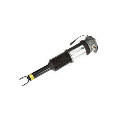 LUFTFEDERBEIN Arnott AS2965 62