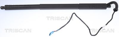 TRISCAN 8710 11306 Амортизатор багажника и капота  для BMW X3 (Бмв X3)