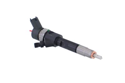 INJECTOR REMANTE 002003000022R 48