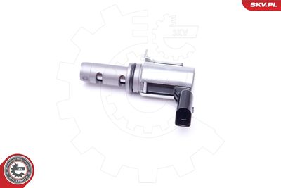 SUPAPA COMANDA POZ. ARBORE CU CAME ESEN SKV 39SKV052 1