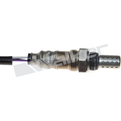 LAMBDASONDE WALKER PRODUCTS 25024696 1