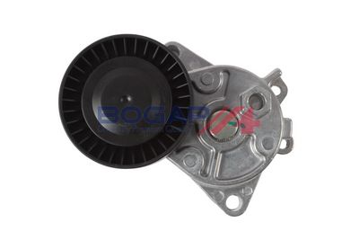 INTINZATOR CUREA CUREA DISTRIBUTIE BOGAP B1317113 3