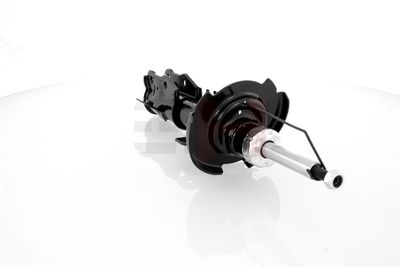 AMORTIZOR GH GH352533H 22