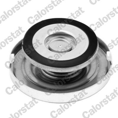 BUSON RADIATOR CALORSTAT by Vernet RC0069 1