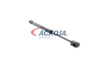 AMORTIZOR PORTBAGAJ ACKOJA A320134 20