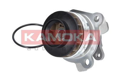 Water Pump, engine cooling T0222