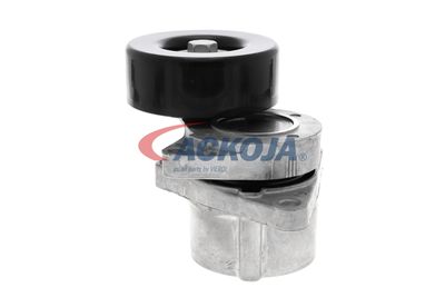 INTINZATOR CUREA CUREA DISTRIBUTIE ACKOJA A380332 18