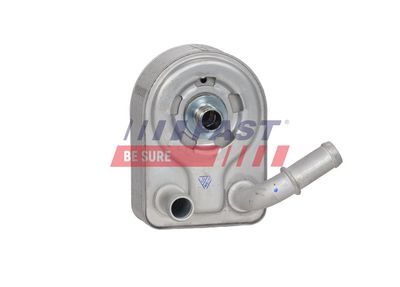 RADIATOR ULEI CUTIE VITEZE