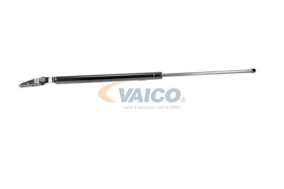 GASFEDER KOFFER-/LADERAUM VAICO V320074 60