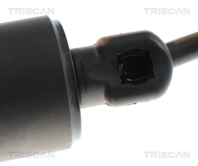 Plynárenská vzpera (pneumatická pružina), zavazadlový priestor TRISCAN 8710 24302
