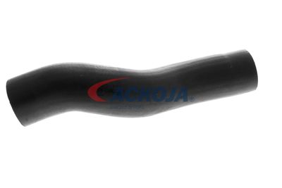 FURTUN EAR SUPRAALIMENTARE ACKOJA A529600 33
