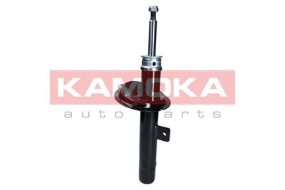 Shock Absorber 2001051