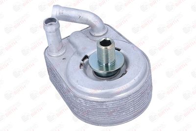 RADIATOR ULEI ULEI MOTOR BIRTH 80822 9