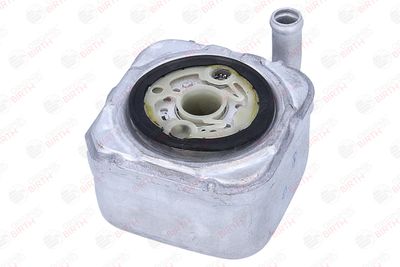 RADIATOR ULEI ULEI MOTOR BIRTH 80827 9