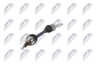 PLANETARA NTY NPWVW197 18