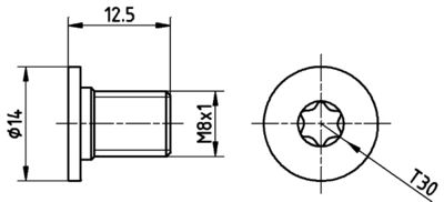 Болт, диск тормозного механизма TPM0002