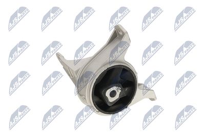 SUPORT MOTOR NTY ZPSPL016 22