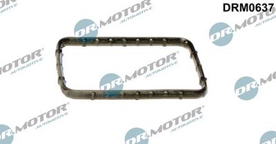 Těsnění, termostat LIZARTE DRM0637